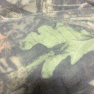 Meet your Posher, Olyvia